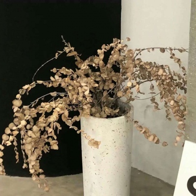 Furry绘画创意灵感福瑞交流群